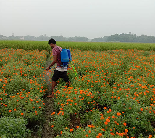 Farmer spraying pesticide