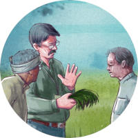 Advisory for sustainable agriculture